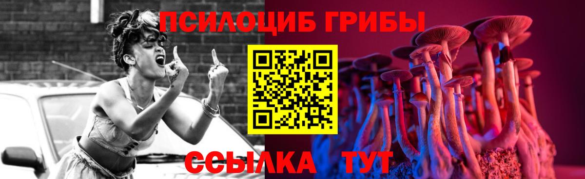 Псилоцибиновые грибы GOLDEN TEACHER Узловая